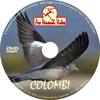 Dvd caccia colombi